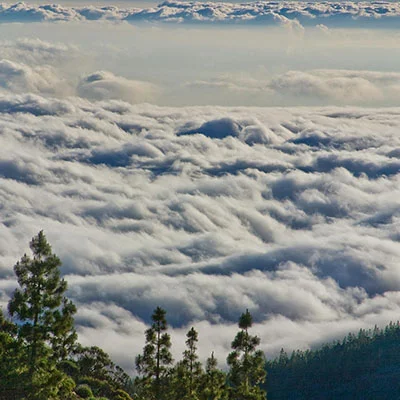 突破封锁与加速共享：V2Ray与IPFS融合构建下一代隐私互联网指南