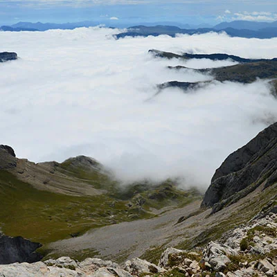 4月20日|22.6M/S，Shadowrocket节点/V2ray节点/Clash节点/SSR节点|免费订阅机场VProxy免费梯子