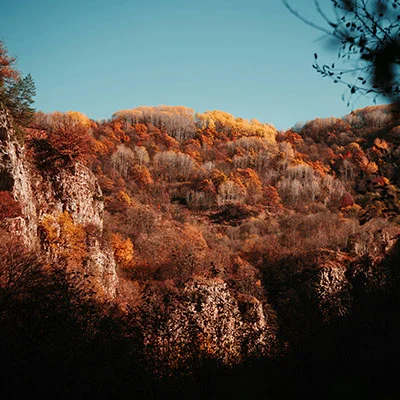 解锁网络自由：手把手教你免费下载与高效使用Clash代理工具